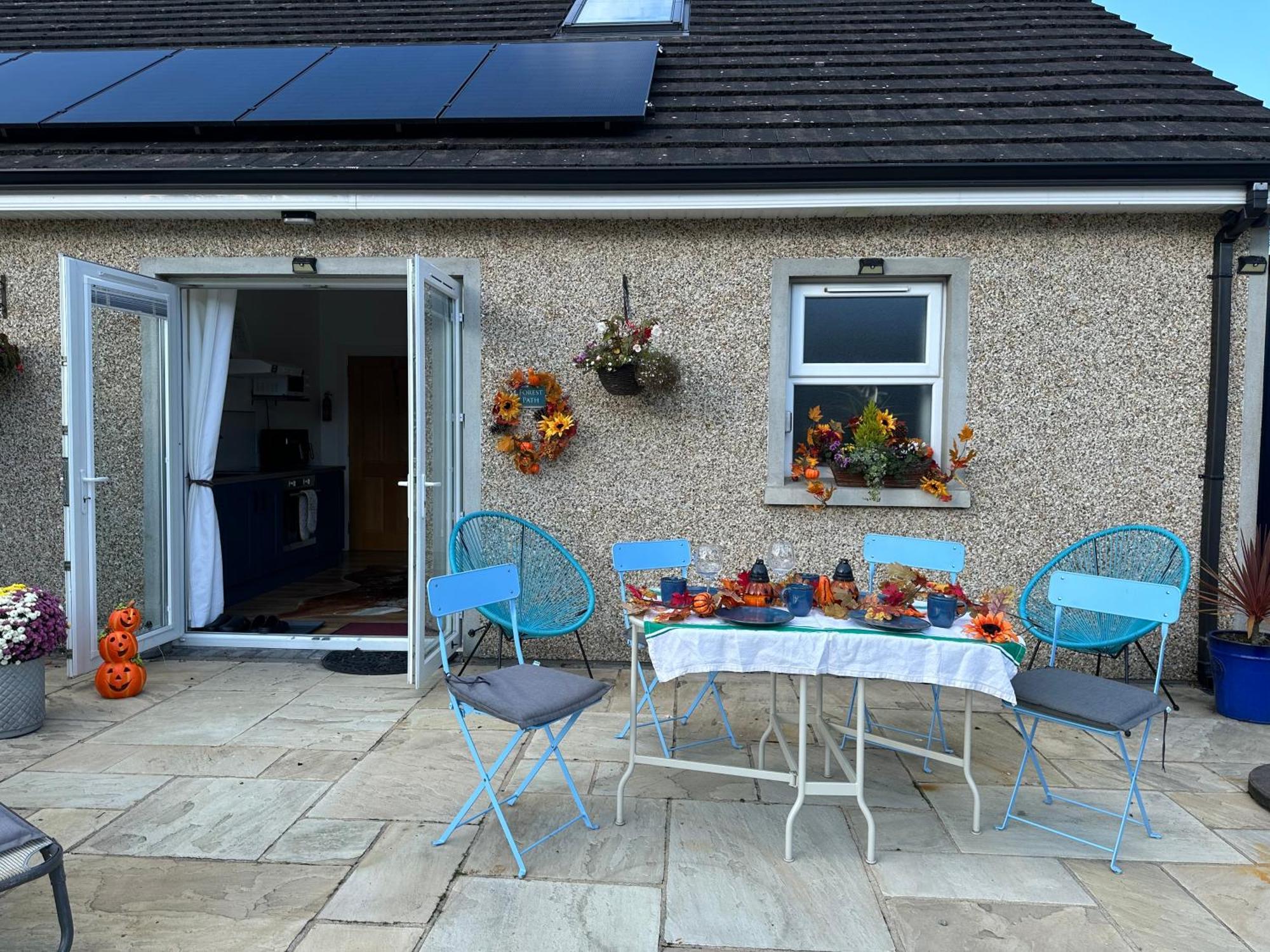 Forest Path Luxury Studio Apartment With Large Bedroom Bathroom And Sauna Sleeps Up To 4 Ballynahinch Luaran gambar