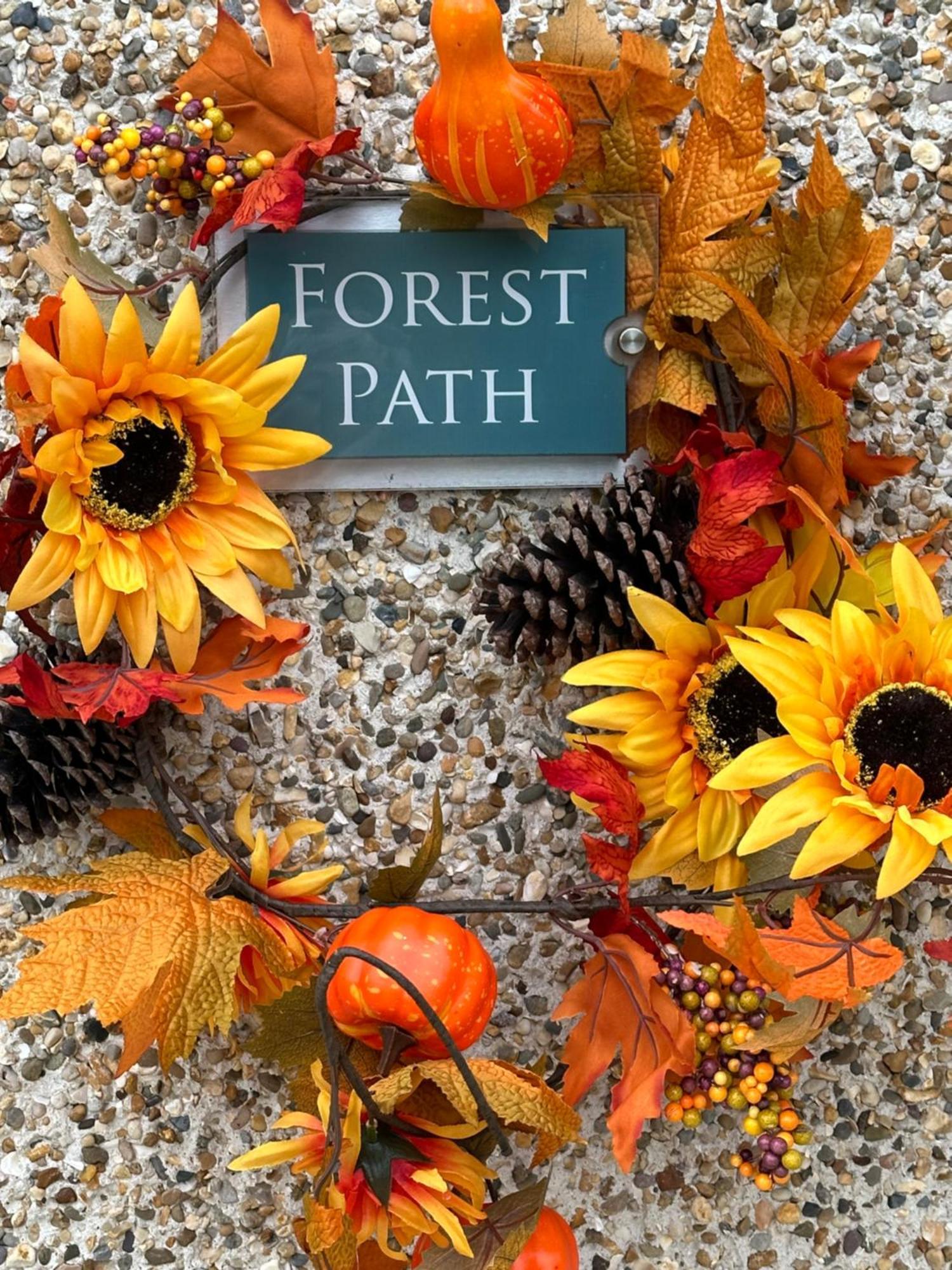 Forest Path Luxury Studio Apartment With Large Bedroom Bathroom And Sauna Sleeps Up To 4 Ballynahinch Luaran gambar
