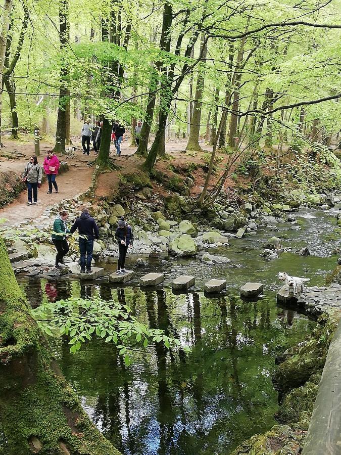 Forest Path Luxury Studio Apartment With Large Bedroom Bathroom And Sauna Sleeps Up To 4 Ballynahinch Luaran gambar