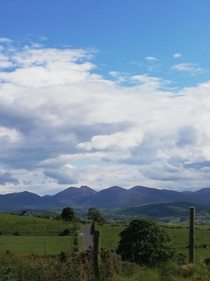 Forest Path Luxury Studio Apartment With Large Bedroom Bathroom And Sauna Sleeps Up To 4 Ballynahinch Luaran gambar